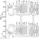 Fig. 08 - METHOD OF STREAMING MOTION PICTURE