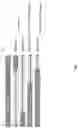 Fig. 08 - Infinite processor thread balancing