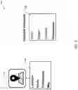 Fig. 10 - Automated user interface analysis