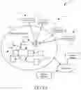 Fig. 02 - Asynchronous directed acyclic map based distributed transaction network