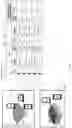 Fig. 09 - Dynamically optimizing load in cloud computing platform using real-time analytics