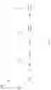 Fig. 02 - Maintaining correctness of pointers from a managed heap to off-heap memory