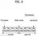 Fig. 12 - Controller and operation method thereof for caching plural pieces of map data read from memory device
