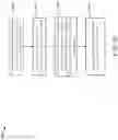 Fig. 27 - Slave master-write/read datagram payload extension