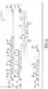 Fig. 04 - Reliable asynchronous baseband protocol with clock and data recovery by correlation