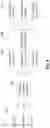 Fig. 09 - Generation of variable natural language descriptions from structured data