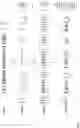 Fig. 06 - Single-line display of composite-text