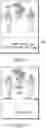 Fig. 06 - TECHNIQUE FOR SAVING METADATA ONTO PHOTOGRAPHS