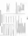 Fig. 06 - Natural language analytics queries