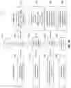 Fig. 16 - Natural language analytics queries