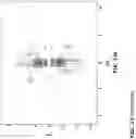 Fig. 28 - Tool to provide integrated circuit masks with accurate dimensional compensation of patterns
