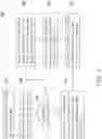 Fig. 02 - Multiple patterning method and system for implementing the method