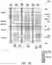 Fig. 07 - Integrated circuit and method of manufacturing same