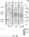 Fig. 08 - Integrated circuit and method of manufacturing same