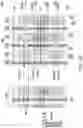 Fig. 09 - Integrated circuit and method of manufacturing same