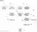 Fig. 08 - METHOD AND SYSTEM FOR CHECKING MALICIOUS HYPERLINK IN EMAIL BODY