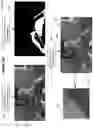 Fig. 08 - Video security and ray tracing samples compression system
