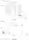 Fig. 13 - Method and apparatus for subject identification