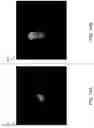 Fig. 17 - Techniques for automatically identifying secondary objects in a stereo-optical counting system