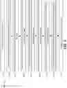 Fig. 09 - Detecting a fragmented object in an image
