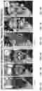 Fig. 06 - METHOD OF DISPLAYING A PRODUCT INSIDE A RETAIL PACKAGE