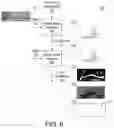 Fig. 05 - Fine-grain object segmentation in video with deep features and multi-level graphical models