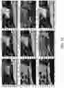 Fig. 10 - LANE AND OBJECT DETECTION SYSTEMS AND METHODS