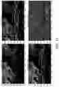 Fig. 11 - LANE AND OBJECT DETECTION SYSTEMS AND METHODS
