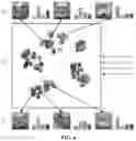 Fig. 07 - Methods and apparatuses for vehicle appearance feature recognition, methods and apparatuses for vehicle retrieval, storage medium, and electronic devices