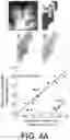 Fig. 05 - Systems and methods for the identification of perivascular spaces in magnetic resonance imaging (MRI)