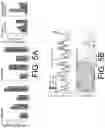 Fig. 07 - Systems and methods for the identification of perivascular spaces in magnetic resonance imaging (MRI)