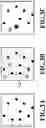 Fig. 04 - Image processing apparatus, method, and program product changing dot pattern when contact state between dots changes due to landed-dot shift
