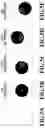 Fig. 06 - Image processing apparatus, method, and program product changing dot pattern when contact state between dots changes due to landed-dot shift