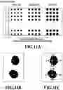 Fig. 12 - Image processing apparatus, method, and program product changing dot pattern when contact state between dots changes due to landed-dot shift