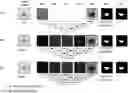 Fig. 01 - Systems, methods, and apparatuses for implementing a multi-resolution neural network for use with imaging intensive applications including medical imaging