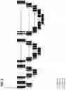 Fig. 12 - Systems, methods, and apparatuses for implementing a multi-resolution neural network for use with imaging intensive applications including medical imaging