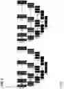 Fig. 13 - Systems, methods, and apparatuses for implementing a multi-resolution neural network for use with imaging intensive applications including medical imaging