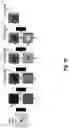 Fig. 14 - Systems, methods, and apparatuses for implementing a multi-resolution neural network for use with imaging intensive applications including medical imaging