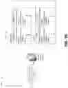 Fig. 03 - Detecting an issue related to a report