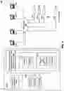 Fig. 05 - Systems and methods for deep learning-based shopper tracking
