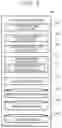Fig. 07 - Electronic transaction device, electronic transaction verification device, and electronic transaction method