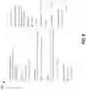 Fig. 07 - MULTI-DIMENSIONAL FORECASTING