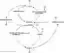 Fig. 01 - Method, non-transitory machine-readable storage medium, and system for collaborative matching