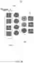 Fig. 06 - Neural network watermarking
