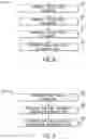 Fig. 08 - Display pipeline memory bandwidth allocation systems and methods