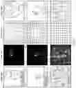 Fig. 05 - Systems and methods for saliency-based sampling layer for neural networks