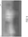 Fig. 10 - High dynamic range illumination estimation