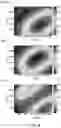 Fig. 09 - Multi-wavelength interferometry for defect classification