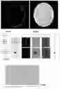 Fig. 09 - System and method for inspection of wet ophthalmic lens