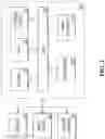 Fig. 03 - Methods and apparatus for extended dynamic range from single exposures in capillary electrophoresis